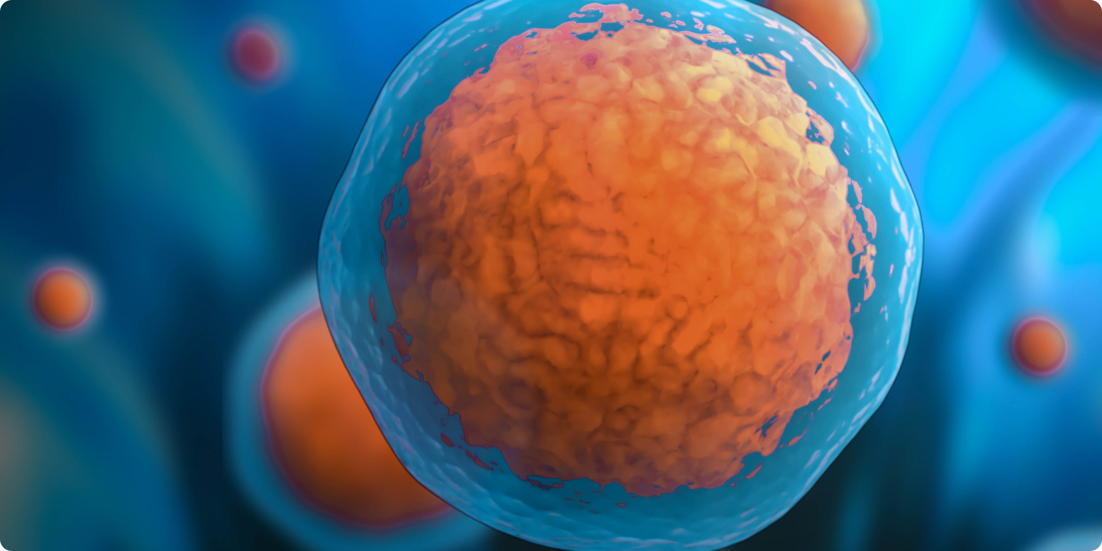Cell Therapies