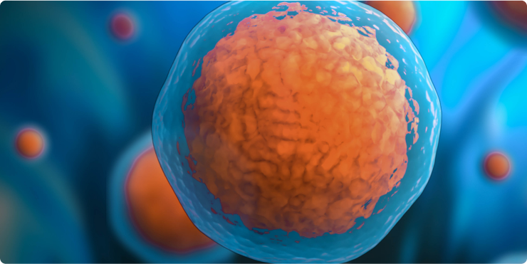 CARR Biosystems About Us