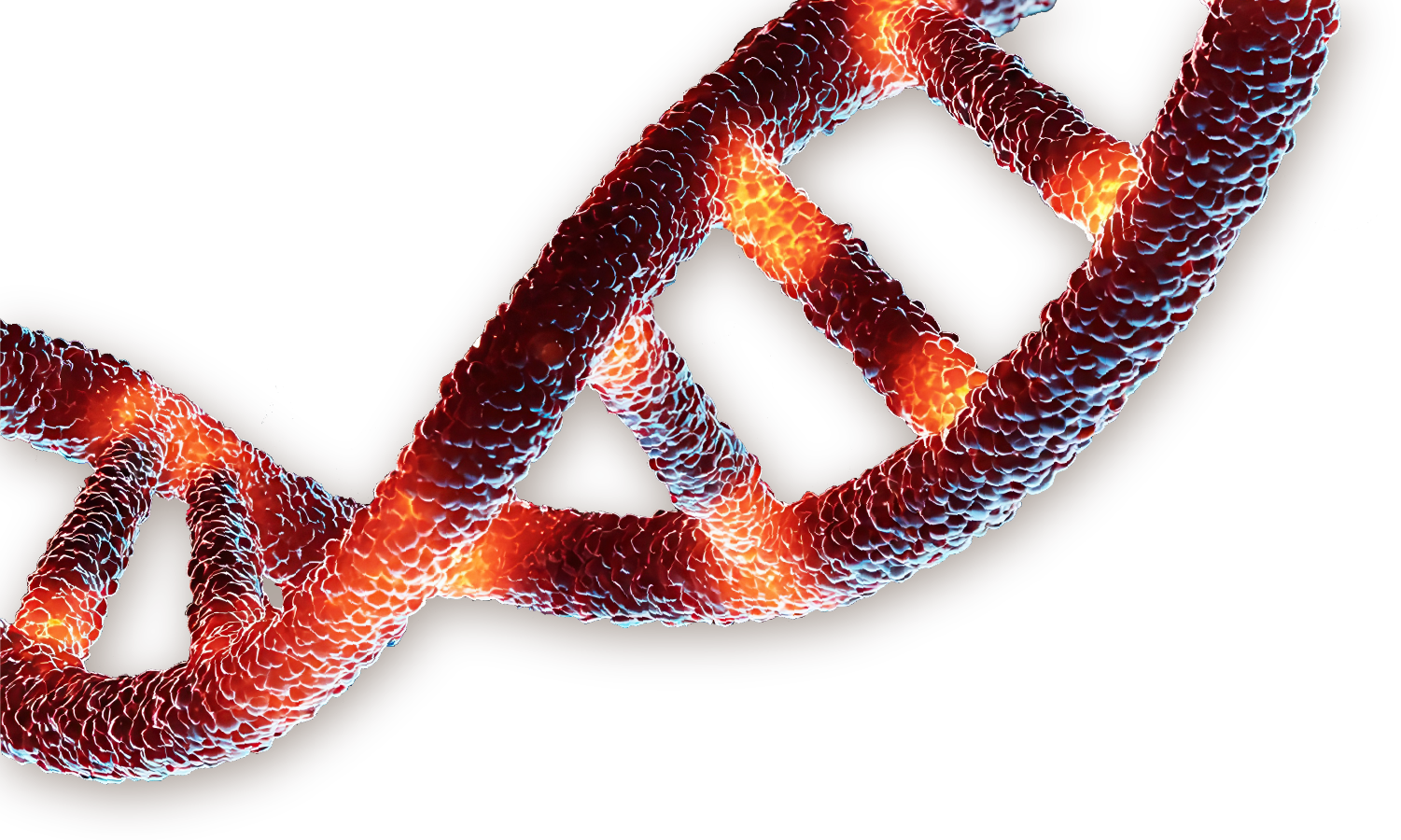 Gene therapy bioprocessing