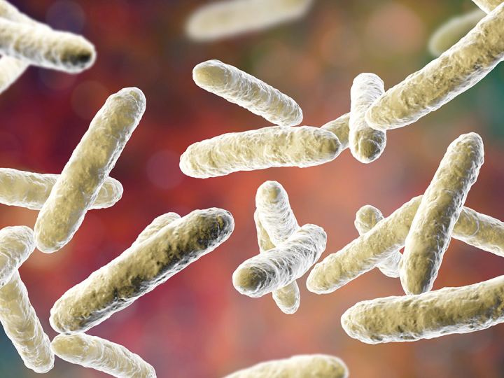 Microbial Fermentation